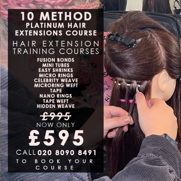 C5 - 10 Method Platinum Hair Extensions Course